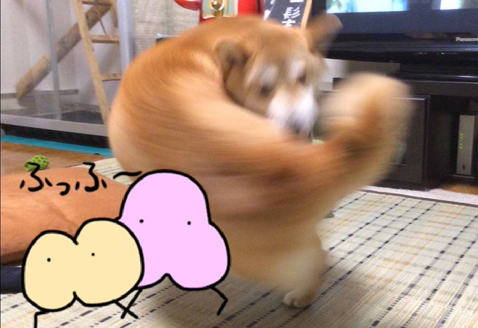 ふぐりのtwitterイラスト検索結果 ふぐりのtwitterイラスト検索結果