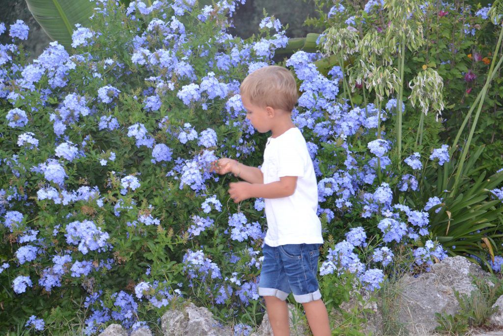 6 Easy Ways to Improve your Child’s language skills | By: Bilingual Kidspot buff.ly/3bszl85 6️⃣🗣️📚 <a href="/bilingualkids_/">Bilingual Kidspot</a>   #LanguageLearning #bilingual #bilingualkids #blog #language #tips #skills #languageskills