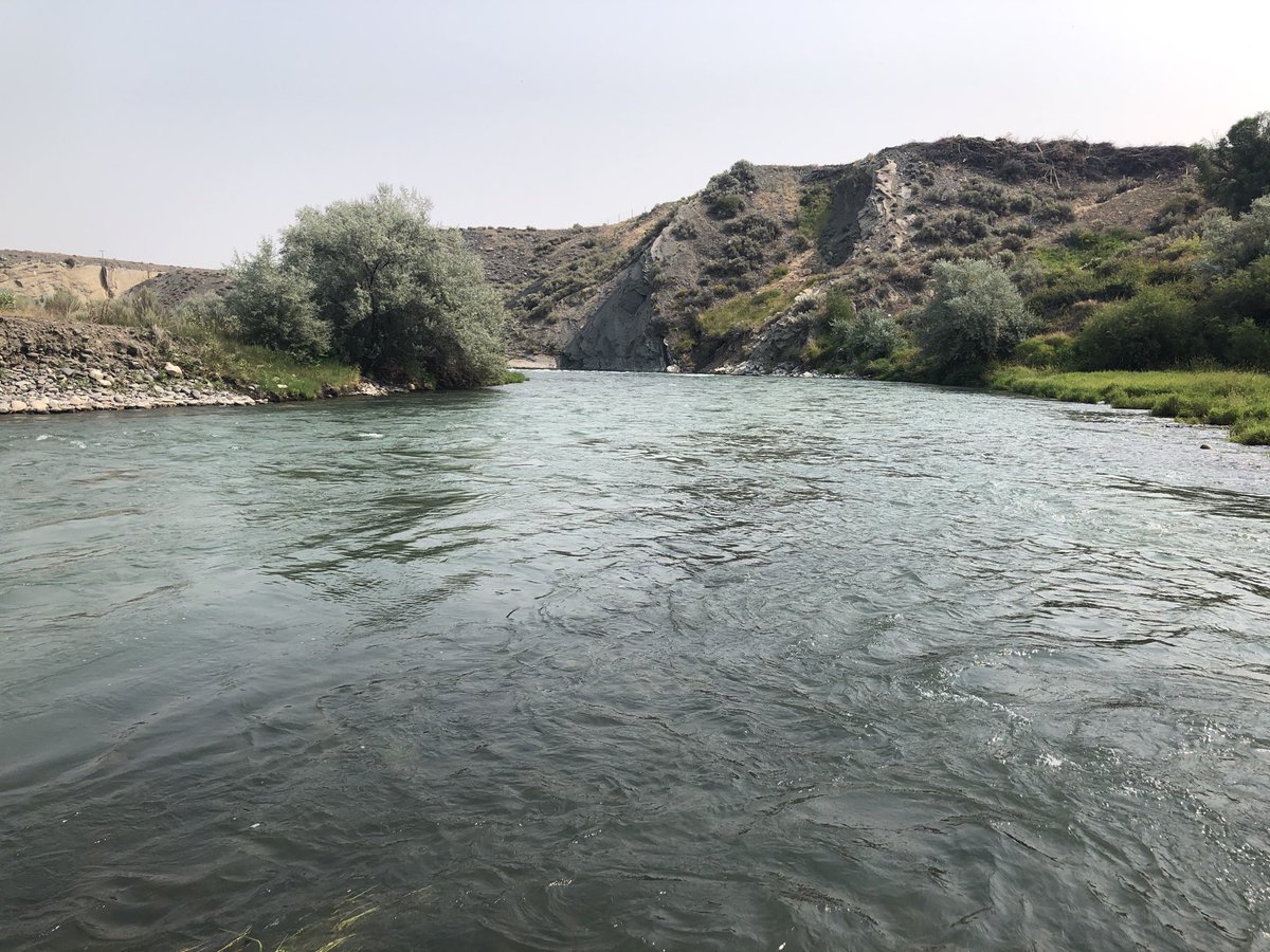 kdrink115's tweet photo. A couple phots from@the fishing trip. Sure enjoyed the day with Greg, Annie, Dale, Cherri, Linda! https://t.co/Ehm3zIbp4m