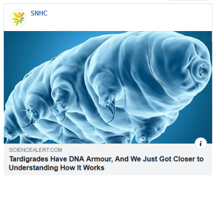 quickdoses's tweet image. Some chronic illnesses result from DNA damage. The findings reported in this article could help us understand how to protect our DNA better.

sciencealert.com/we-re-a-little…