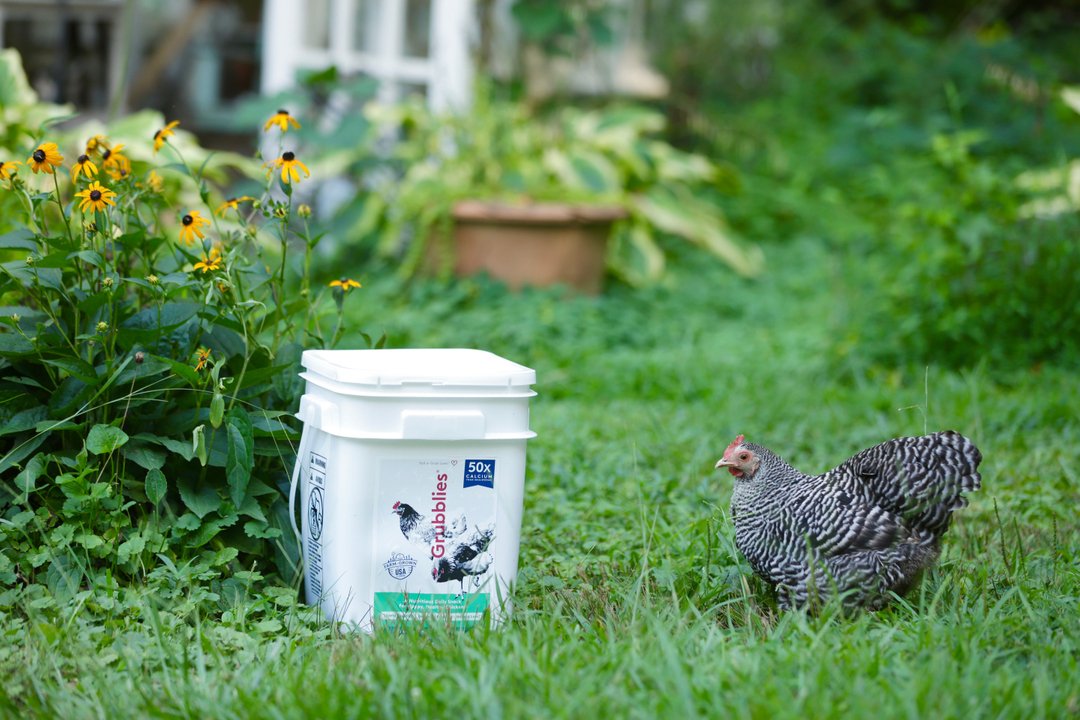 We told her the Love Tub is still on bawkorder and she’s giving us the side eye like “don’t even think about taking my bucket.”