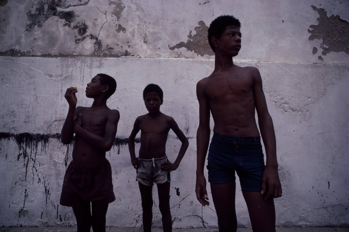 FDVMontmartre's tweet photo. 👉 Cette année la @FDVMontmartre et @LE_BAL_ vous proposent une belle exposition consacrée au photographe brésilien Miguel Rio Branco ! 📸
➡ + infos : https://t.co/w5cBL5cdMU 
#FDVM20 #fetedesvendangesdemontmartre #exposition #photographie #art #culture #mairie18 #paris18 #paris https://t.co/BeTIJDSxi4