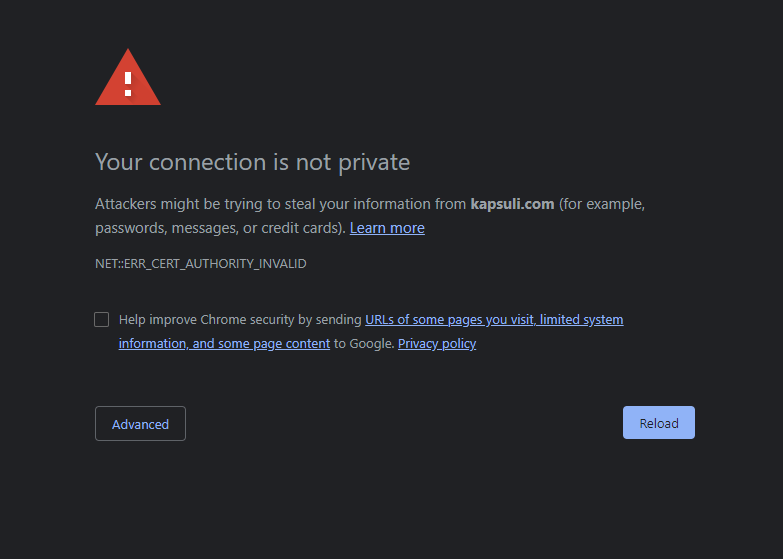 Voivode Kohoutek tweet media