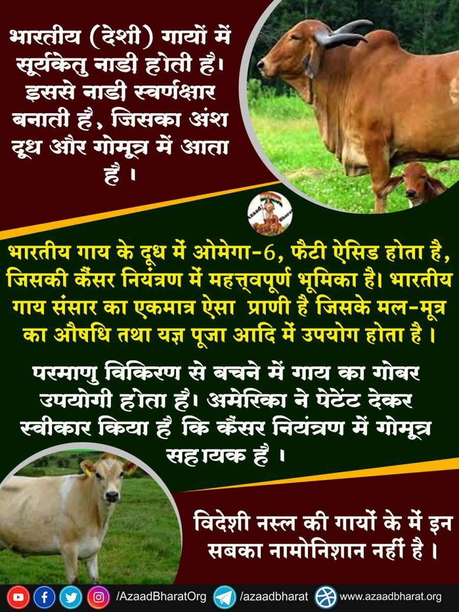 Sant Shri Asharamji Bapu has been promoting Gau Sewa as Cows have been considered valuable even in Bhagavatam. Desi Cow Should Be National Animal as its Urine,Milk&amp; dung are beneficial for the health of people.Government should enforce #गौहत्या_पर_प्रतिबंध