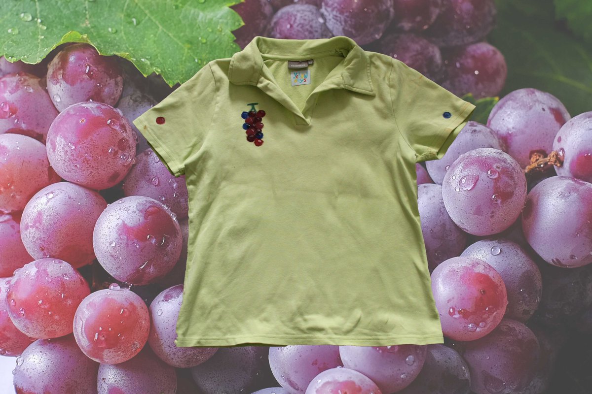 GRAPES POLO - hand painted and thrifted - size M - €16.50 with free shipping to the Netherlands. International shipping possible https://www.etsy.com/listing/832971196/grape-hand-painted-green-polo-shirt?ref=shop_home_active_10&frs=1