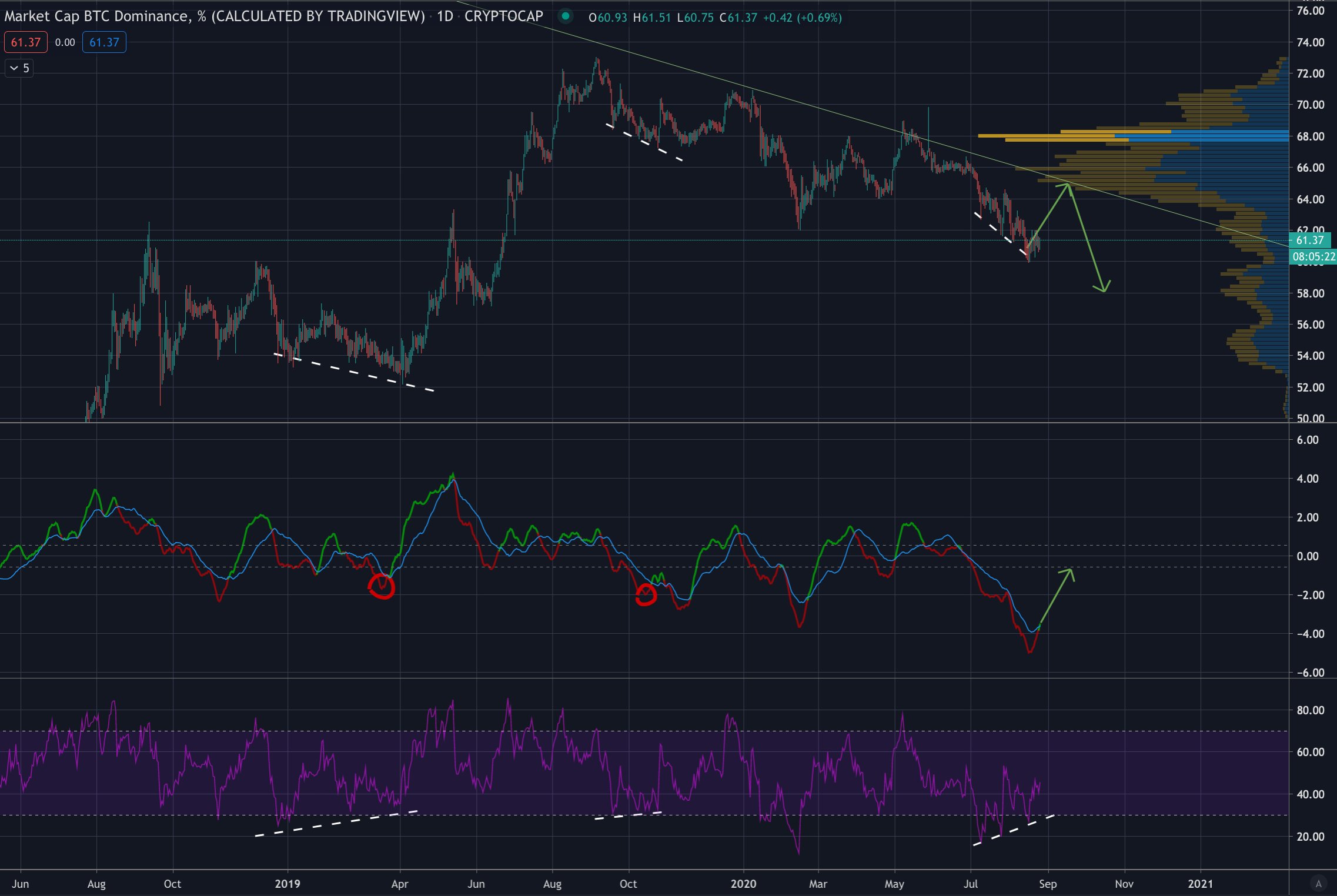 Why This Bitcoin Analyst Thinks Altcoin Owners Should Trade With Care