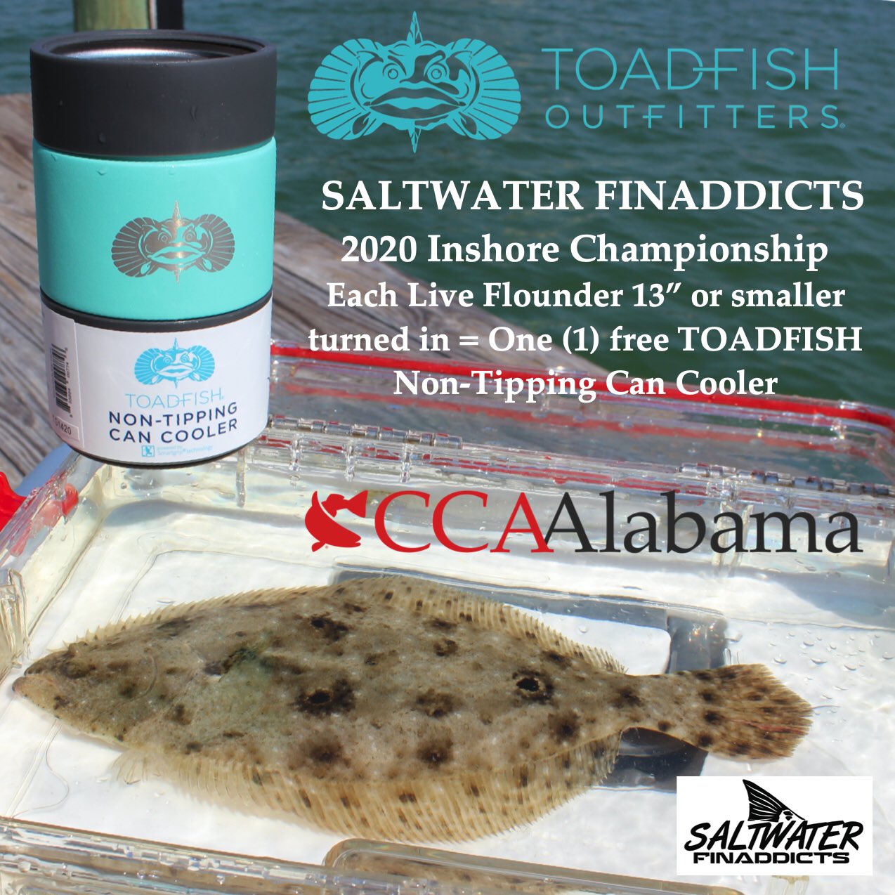Amazing Non-Tipping Can Cooler! - Toadfish Outfitters 