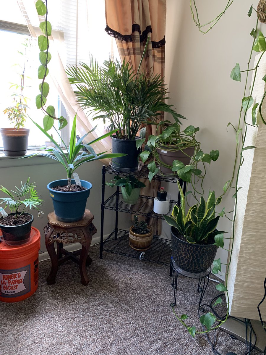 CYCASTRO32's tweet photo. Went to Home Depot to drop something off came out with two projects ; thanks Fabulous for your assistance @MCYPS @THD_4187 https://t.co/Ti0npnU4sm