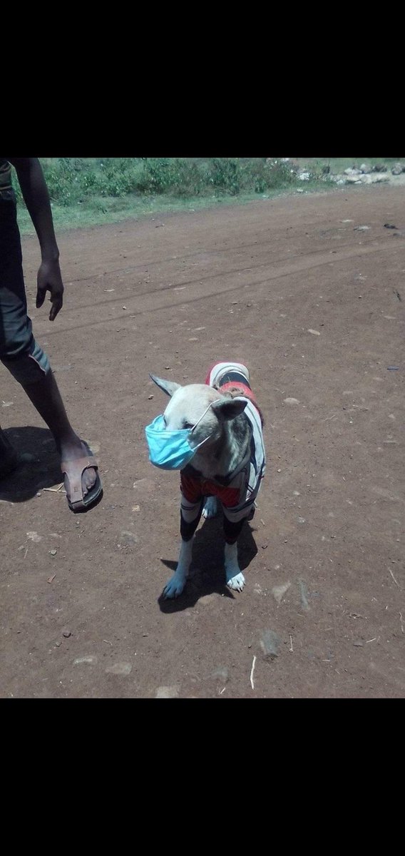 PeterMwangangi2's tweet photo. @ScaniaEA https://t.co/98R2OOurqy