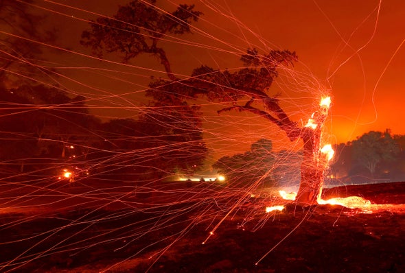 Fast-Moving California Wildfires Boosted by #ClimateChange—
Nearly two dozen lg blazes burnt more than 1 million acres. Embers blow off a tree after the LNU Lightning Complex Fire burned through the area on Aug. 18, 2020. Credit: Justin Sullivan. More: ow.ly/JmFd50B8ZYT