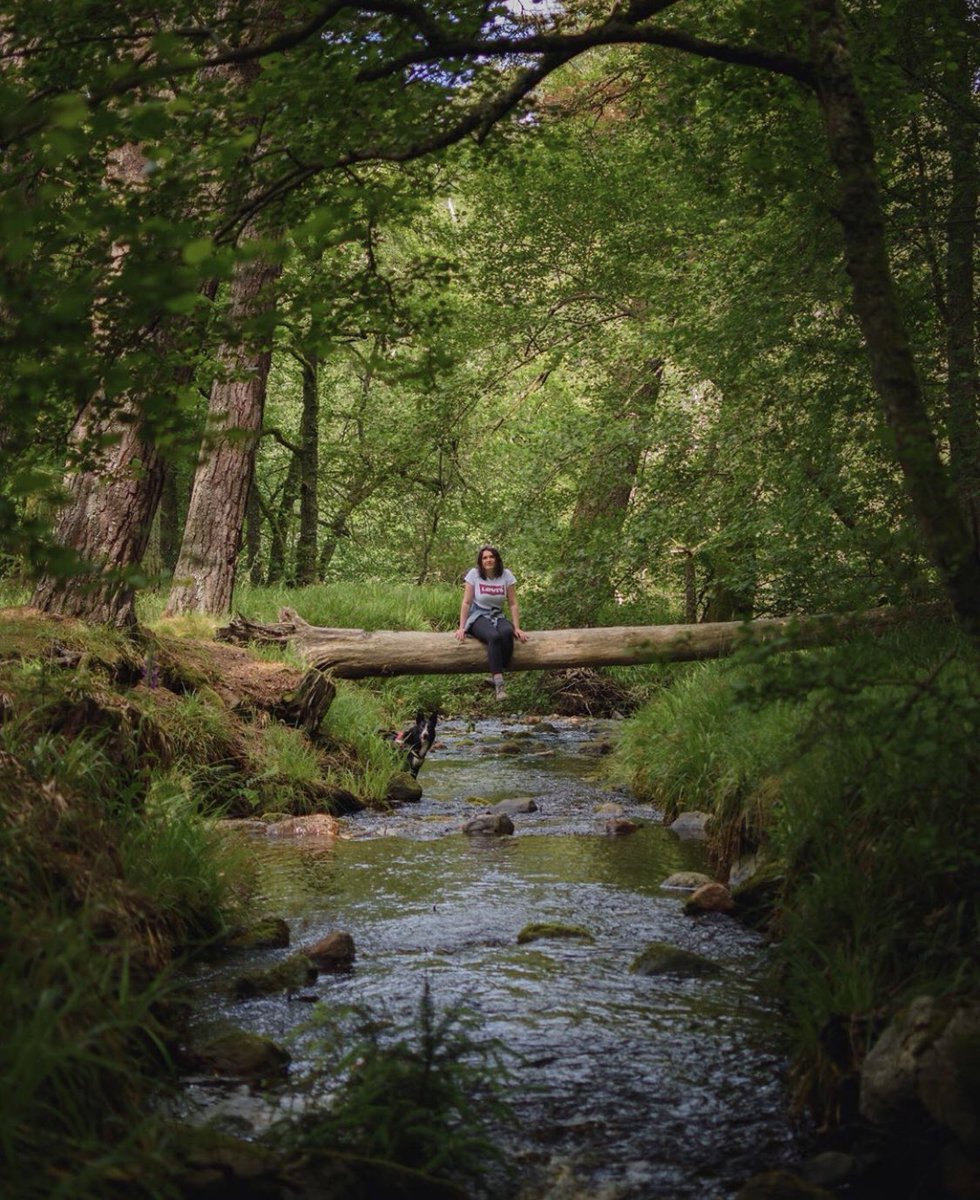 There’s something pretty special about @Glen_Tanar in Aberdeenshire, and doesn’t my boy know it 🐶🐾 #rediscoverabdn #visitabdn #visitscotland #aberdeenshire @visitabdn @VisitScotland 📸; @itsEezma