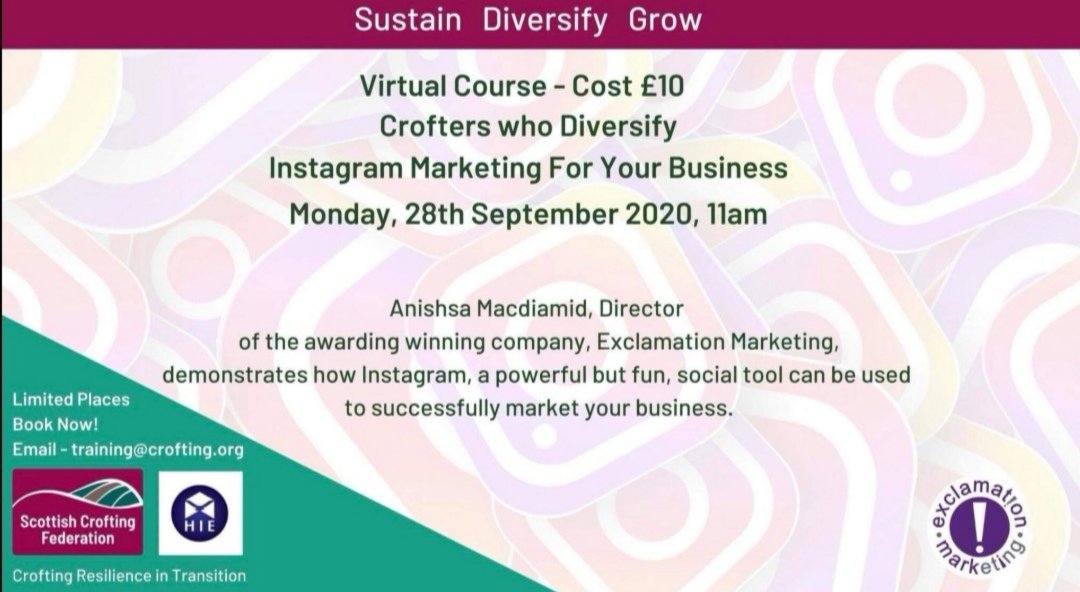 📢Online Course for Crofters...  Find out how Instagram can benefit your business...
Please share with or tag any crofters that you think would be interested. 
To book Email - training@crofting.org
#croftinglife #sustain #diversify #grow #virtualcourse