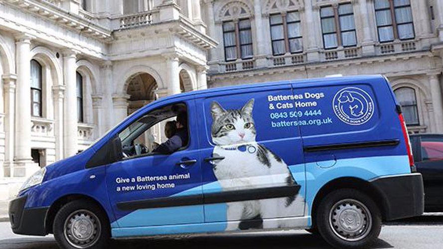 On Palmerston’s 1st day, photographers stood by the FCO’s brass sign. As the Battersea van turned into the street, flash bulbs popped as if the Prime Minister had appeared. Kay was amazed to find out Palmerston was already famous,  @DiploMog had over 1,000 Twitter followers.