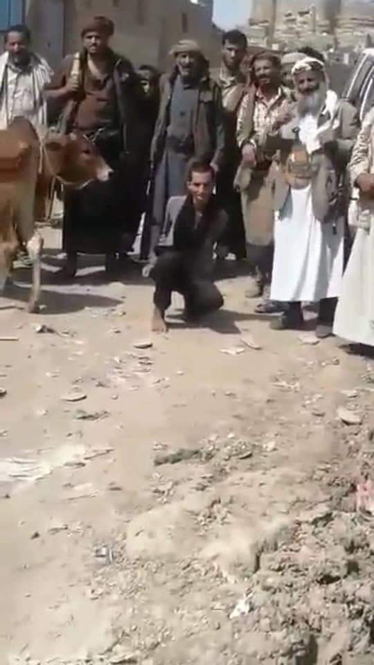 دولة مليشيات #الحوثي في رداع تسلم قاتل كان عندها بالسجن للوساطه والوساطة تسلمه لأولياء الدم لينفذوا حكم الإعدام فيه..
قلنا لكم رجعت بلادنا غابه لا قانون ولا رادع أين حلف الناتو ينقع الجميع..
هذي اعرافكم واسلافكم يا اصل العرب الله المستعان
