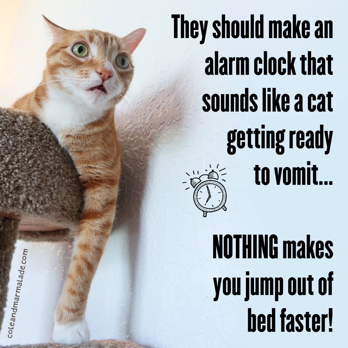 I move like lightning when I hear this noise... I'm sure I must break speed records!! ⏰⚡️

This alarm clock would def work LOL 🙂

#CatPeopleWillUnderstand