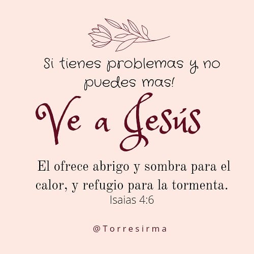 irmatosu's tweet photo. 📍Vayamos a Jesús, allí hay abrigo, sombra y respuestas🙏#PrimeroDios #rpsp2020 #rpsp
#DevocionalesDiarios https://t.co/edT1AD2pXt