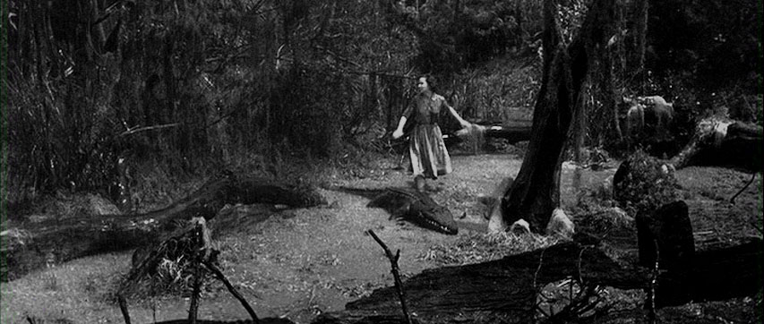 78. LOS HOMBRES CAIMÁN (1959)Pocas películas de monstruos mutantes se han hecho que se centren en el drama de la esposa que intenta desvelar el misterio de su marido, como si fuese una heroína victoriana, humana, enamorada y sacudida por el terror de la revelación.