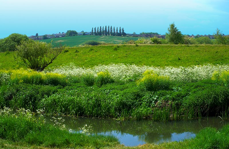 GalpinImages's tweet photo. River Dearne, Harlington. March Image Doncaster Calendar 2021  © Alison Chambers  https://t.co/wYpSEnGzMV……
@AlisonC24426188 @VisitDoncaster
#doncasterisgreat,#ilovedoncaster,
#DoncasterCalendar,#visitdoncaster,
#AlisonChambers https://t.co/vjCMW67mXg