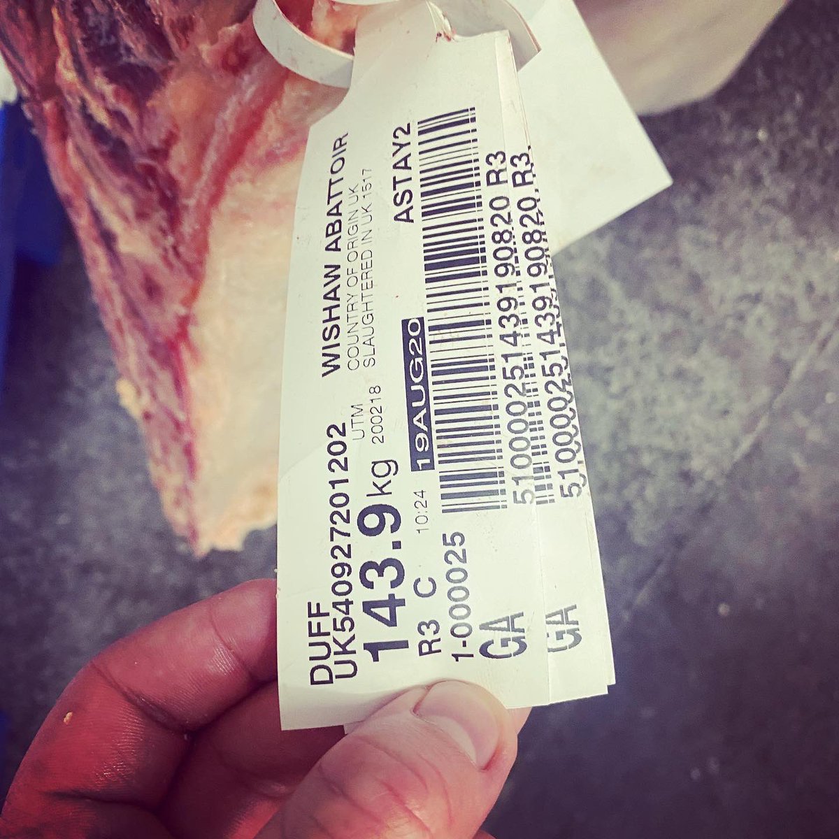 Pure Galloway from the Taylors of Heatheryhall heading down to @WilliamRose1862 #galloway #gallowaybeef #macduff1890 #scotchbeef #meatwithintegrity #nativebreeds