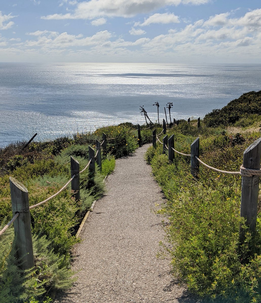 Paved pathway slopes downhill towards an ocean view, bordered on both sides by green vegetation and vertical posts connected together by thick rope.