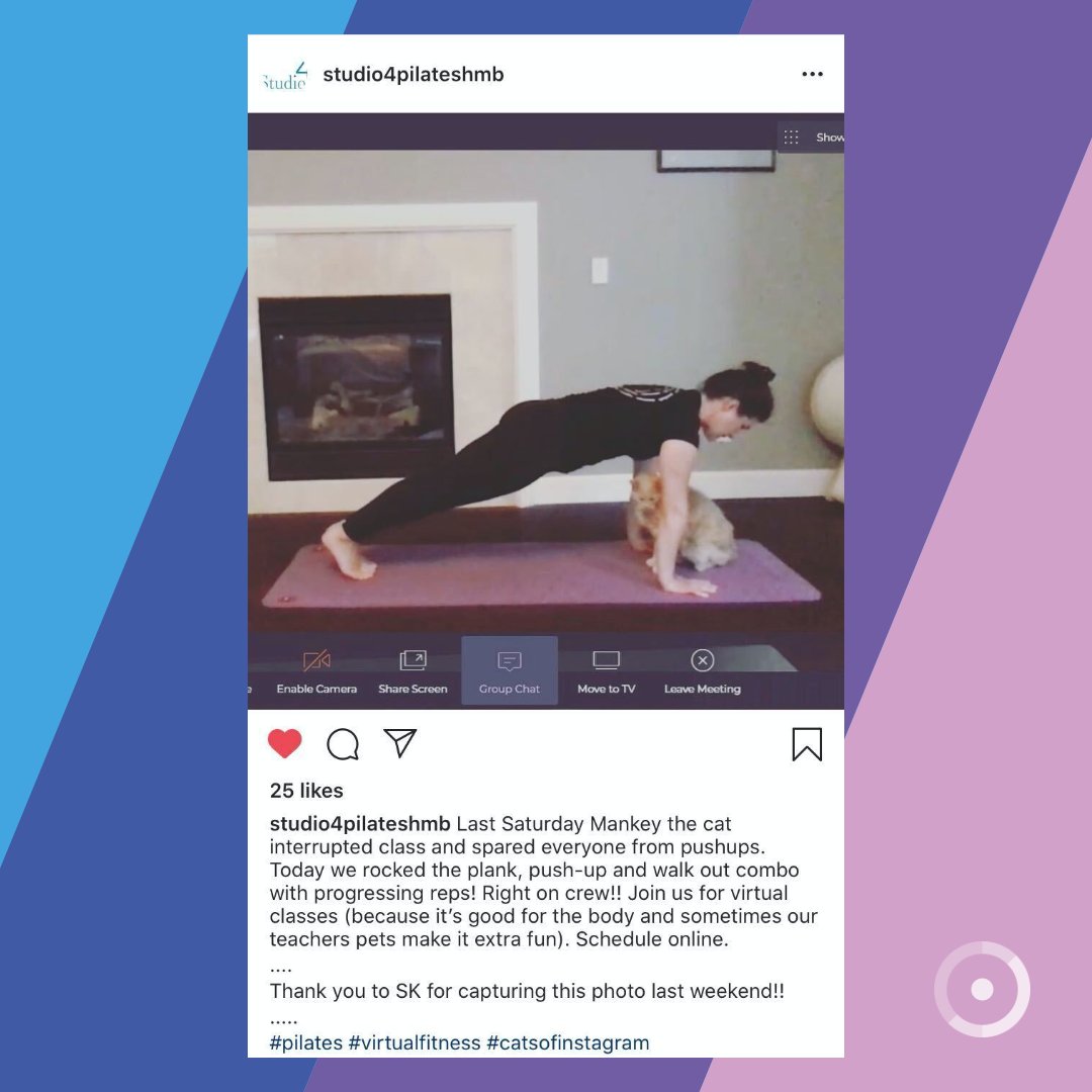 #teacherspet 🍎 🧘🏻‍♀️ 🐈

Studio 4 Pilates coming to you from #Highfive's platform &amp; Half Moon Bay, CA! 😊Plank fur life! 

#yoga #remoteteaching #remotelearning #wfh #wfhighfive #videoconferencing