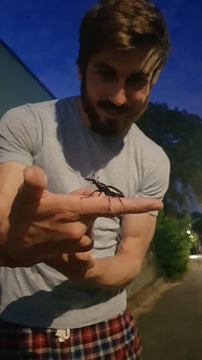 🐛