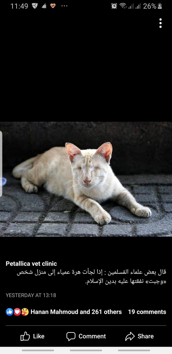 <a href="/CatCat_120/">عاجل انقاذ قطط</a> 
ما اعظمها صدقه واحساس بالعطاء عند اقتناء قط اعمي وانقاذه من موت ينتظره فمن احيا نفسا كانه احيا الناس جميعا 
قط شيرازي جميل ونظيف وهادي جدا اعمي لا يري 
المكان المدينه المنوره 
سبب الاستغناء نزولي مصر فجاه فاين يكون مصيره