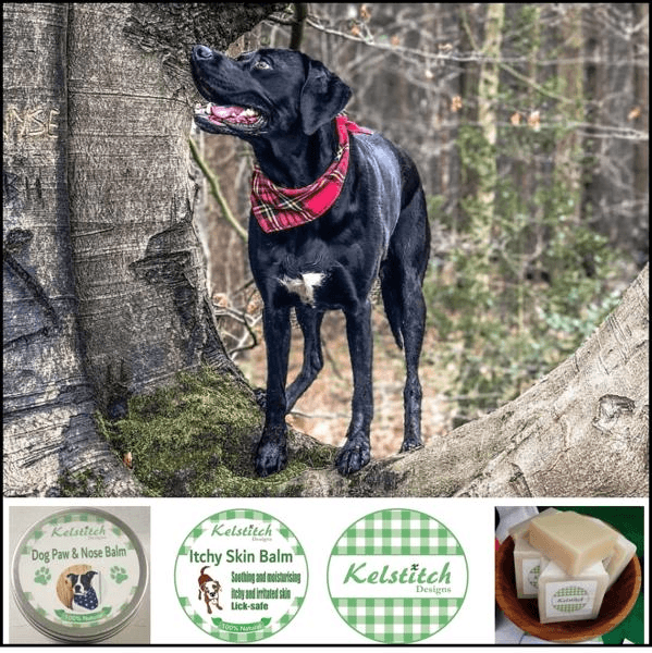 ShropVirtual's tweet photo. Shropshire Virtual Show - Special offer from
KelstitchDesigns Stand 225
@KelstitchDesign
10% off orders through website until 31st August SHROPSHIRE2020
#shropshire #shropshirehour #virtualevent #shroplocal https://t.co/oLegjzc8IY