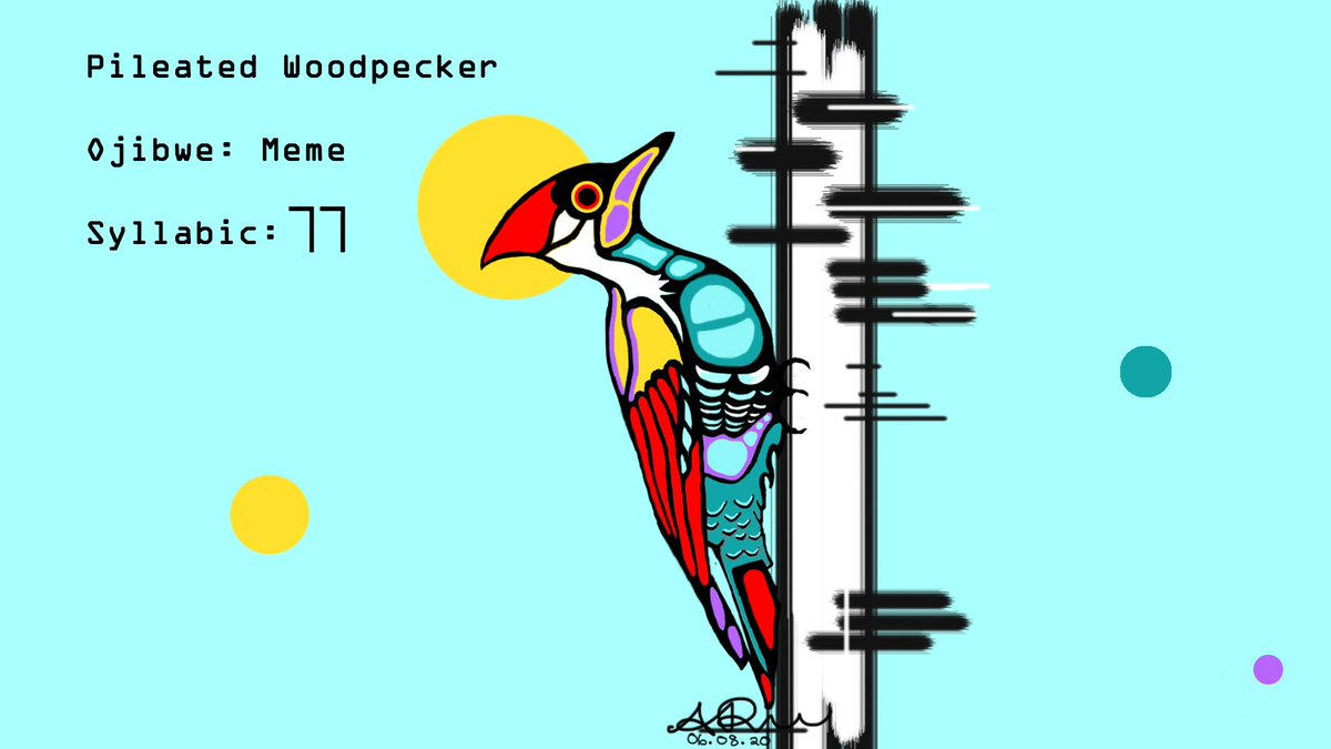 IndigVision's tweet image. #TraditionalTuesdays Part Two with digital art by Sarah Paradise.  Learn the names of four animals in Ojibwe.

Today we have the Red Fox, Miskwaande Waagosh and the  Woodpecker, Meme.

What is your favourite animal?

#IHeartNorthEnd #Culture #Community #Connect #Relationships