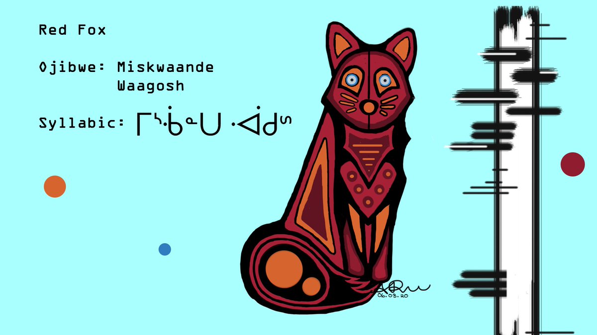 IndigVision's tweet image. #TraditionalTuesdays Part Two with digital art by Sarah Paradise.  Learn the names of four animals in Ojibwe.

Today we have the Red Fox, Miskwaande Waagosh and the  Woodpecker, Meme.

What is your favourite animal?

#IHeartNorthEnd #Culture #Community #Connect #Relationships