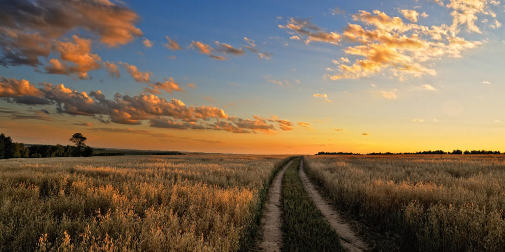LANDTHINK's tweet photo. LANDFLIP's @RyanFolk was a guest on @TheLandShowSE last week. Listen as Ryan, @AlaLandCo, and Dave Milton discuss the surging #land market. 🎧 now: https://t.co/EIicNpZ1Lh #realestate #LANDFLIP https://t.co/TaYR6dsaGs