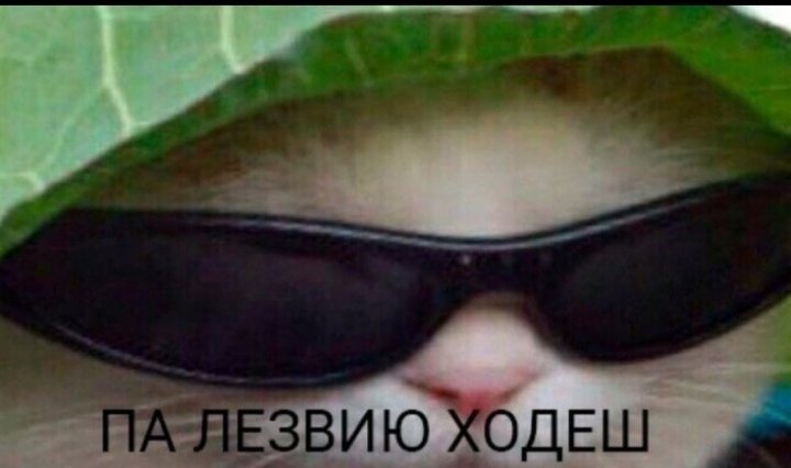 Imalesbian13's tweet photo. папа: *пытается снять все мои плакаты лгбт, пока я сплю*

я: https://t.co/5qEIiZWAKz