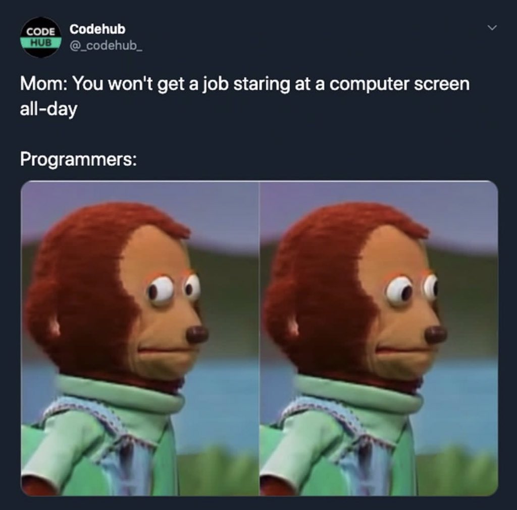 techcityng's tweet photo. who said you can’t make money by staring at a screen ? 😅 #TechCityNG #programming #memes https://t.co/dCHmdeoRN5