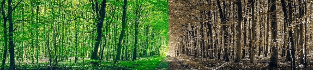 sanapackaging's tweet image. An interesting perspective on the role #Instigators play in driving the adoption of #KeyTechnologies - buff.ly/3j7pUPp