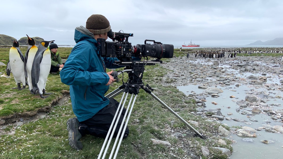 The countdown begins! Our new #SouthGeorgia visitor’s film, narrated by Sir #DavidAttenborough launches on 1st September. Get ready to be inspired! #SGSSIdiscover