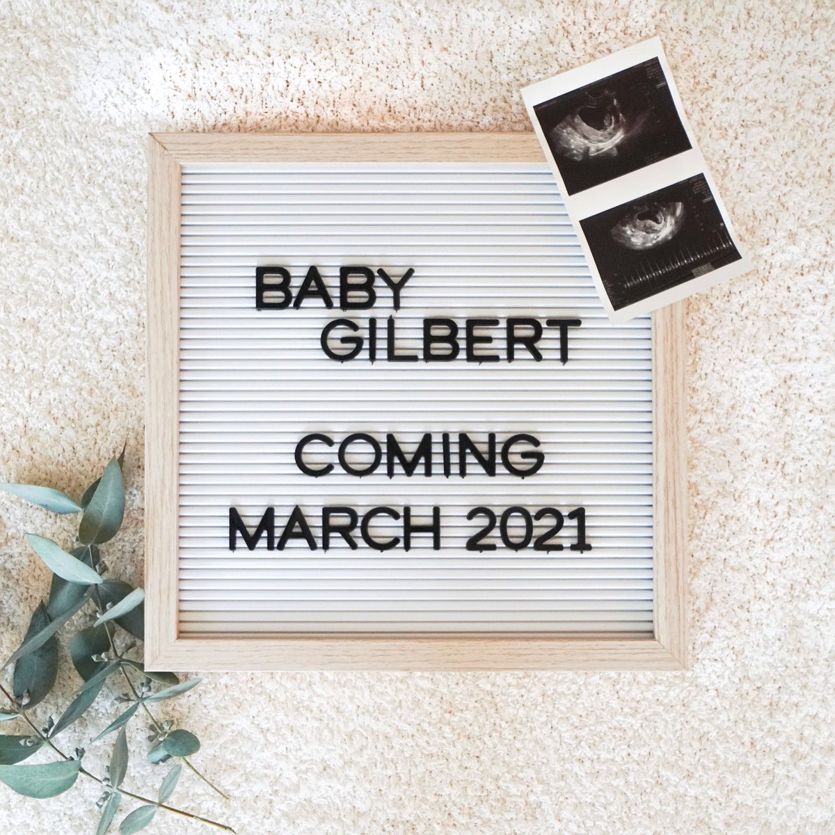 Jordan Gilbert tweet media