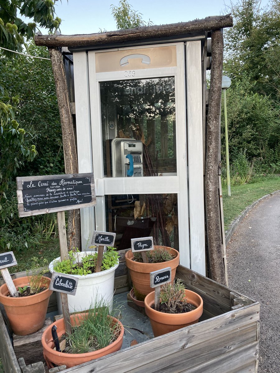 HAMOUDI NADIA tweet media