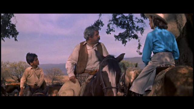 99. LA BESTIA DE LA MONTAÑA (1956)Los western de serie B a veces te dejan más poso que los más míticos, con esos duelos entre antihéroes y villanos decadentes, esos pueblos amenazados por el cacique, esos tiroteos en el salooY LLEGA UN DINOSAURIO Y TIENEN QUE LUCHAR CONTRA ÉL.