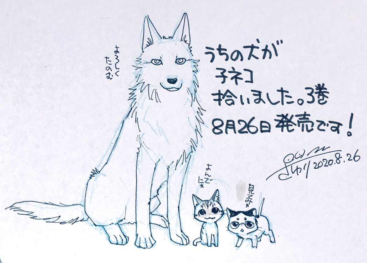 うちの犬が子ネコ拾いました