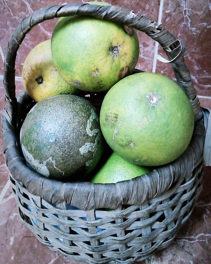 MrCasales's tweet photo. Listo!!! Mi primer dulce casero de #toronjas #pomelo #grapefruit🍊 Riquísimo😋... https://t.co/yO5BOwH6Up