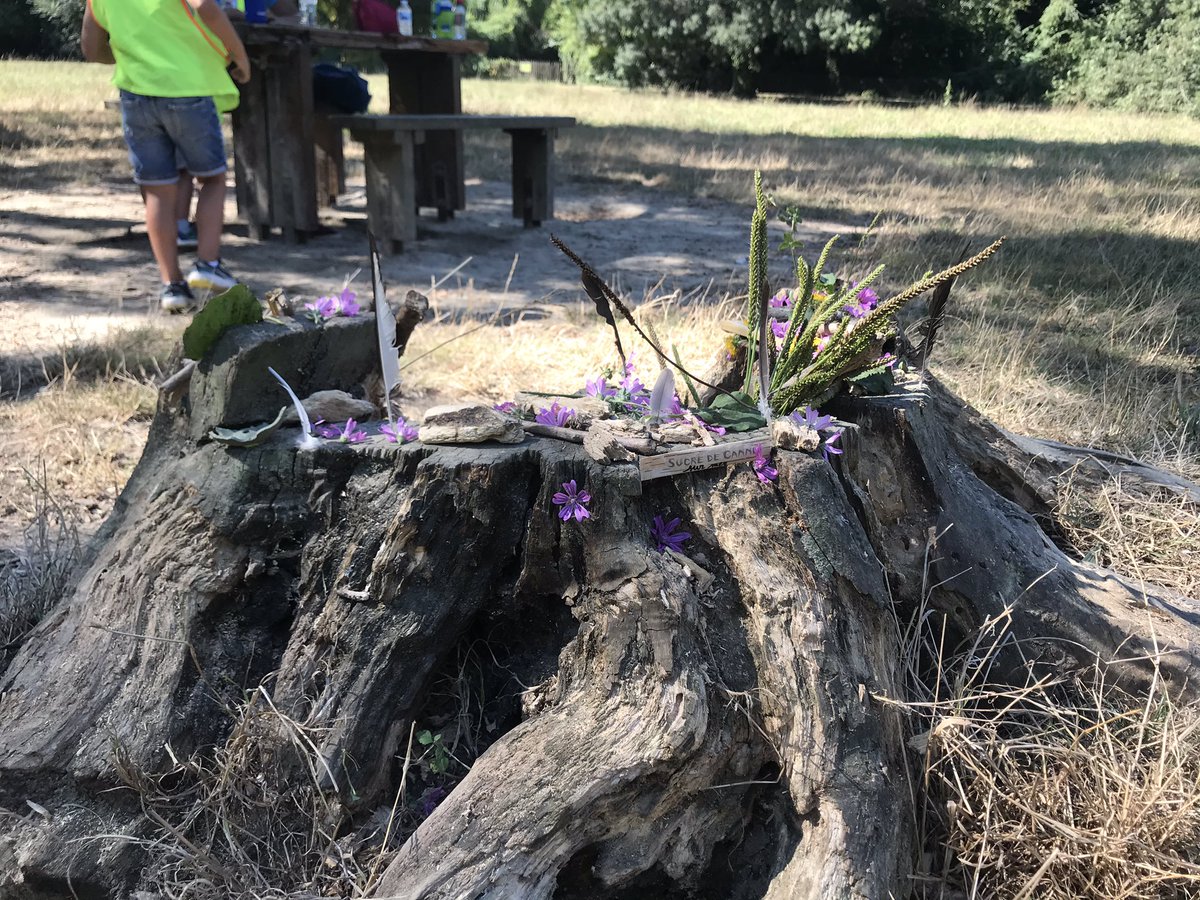 marmelladeee's tweet image. On a fabriqué une cabane pour les mues de cigales 
Je suis trop fière de mes petits