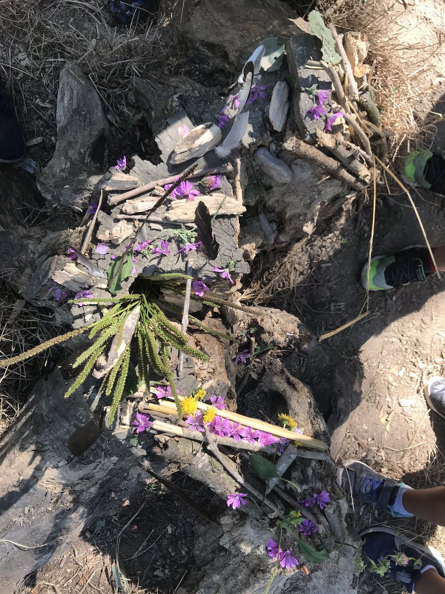 marmelladeee's tweet image. On a fabriqué une cabane pour les mues de cigales 
Je suis trop fière de mes petits