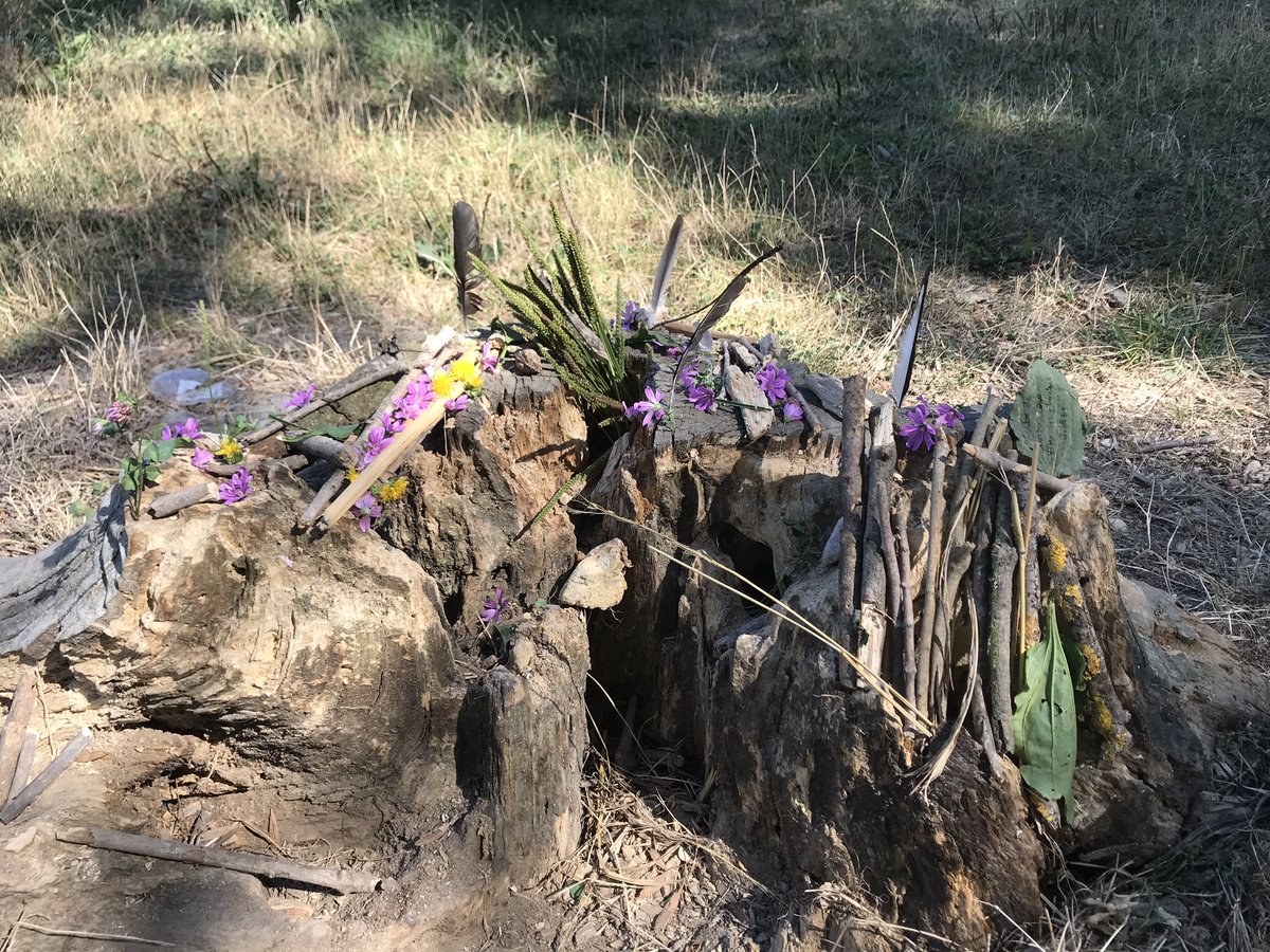 marmelladeee's tweet image. On a fabriqué une cabane pour les mues de cigales 
Je suis trop fière de mes petits