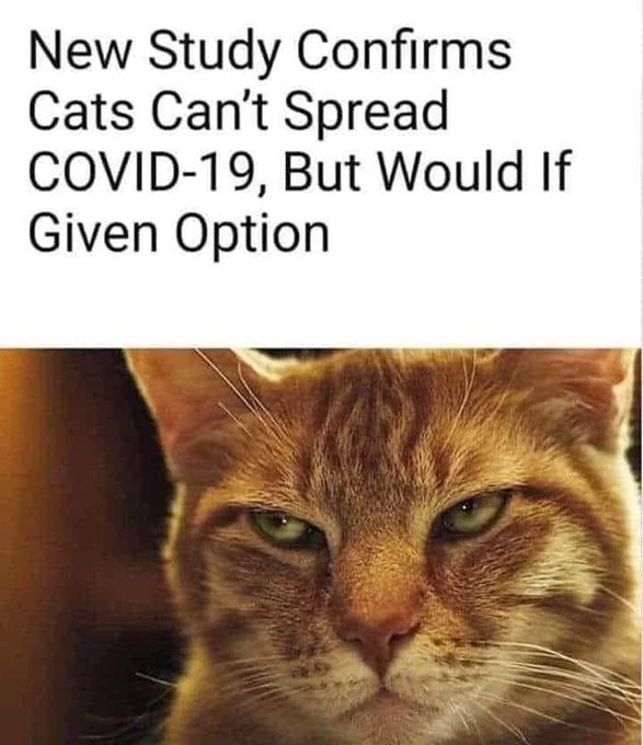 Lol https://t.co/n6SbTy91iO