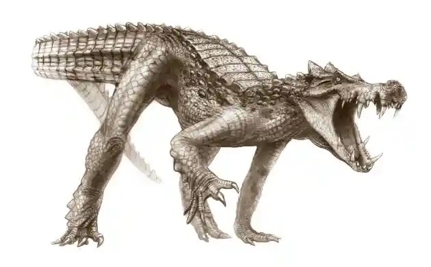 Fossil hunters discovered remains of a species of dinosaur-eating crocodile native to North Africa. Not only were they adept swimmers, they could also gallop on land.