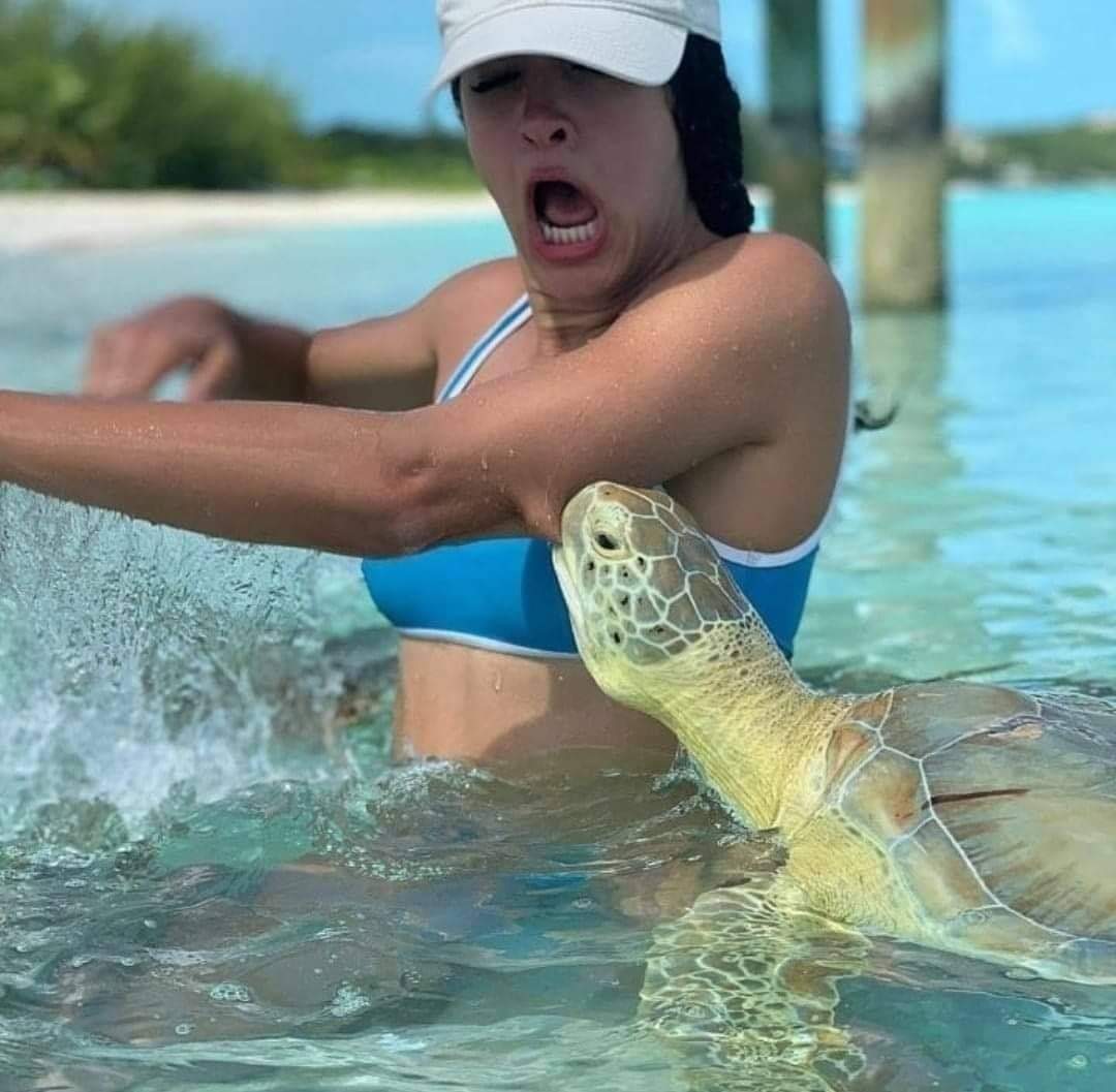 ¡Que te quedes en casa, welabrga!
