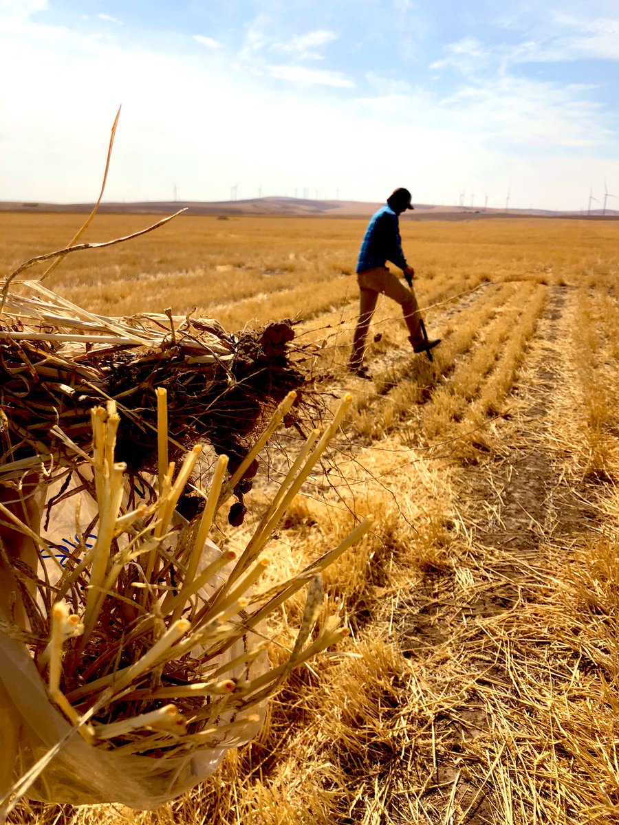 Christina H. Hagerty tweet media