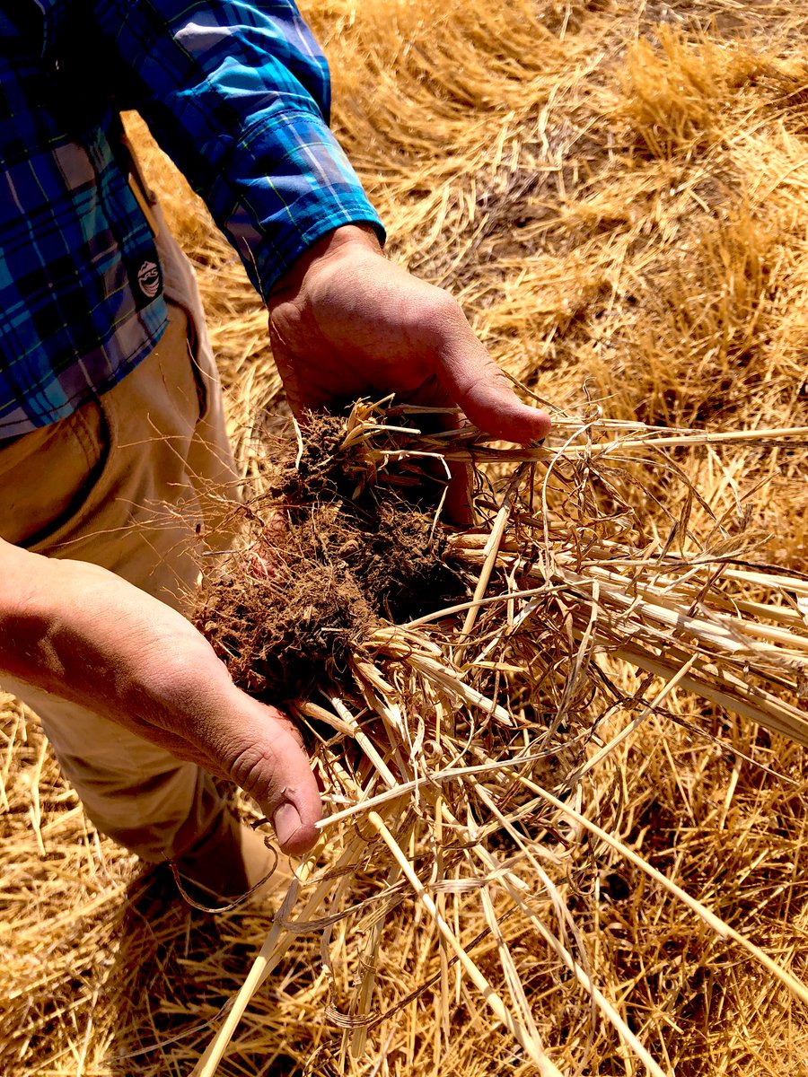 Christina H. Hagerty tweet media