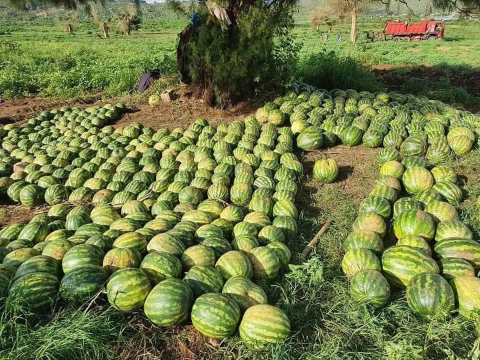 IsabellaWarfa's tweet photo. Tuli waan ku tabaya, qalbigaad ku taala ๐ #Home #tuliguleed #Faafan #SomaliGalbeec https://t.co/mvArbNjZMH