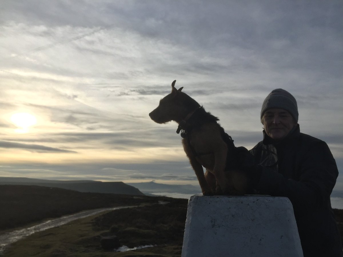 Once upon a time I had two eyes and I could see for miles. Although being on top of Hay Bluff may have been a factor! #barkingmad. #dogsoftwitter #oneeyeddogs